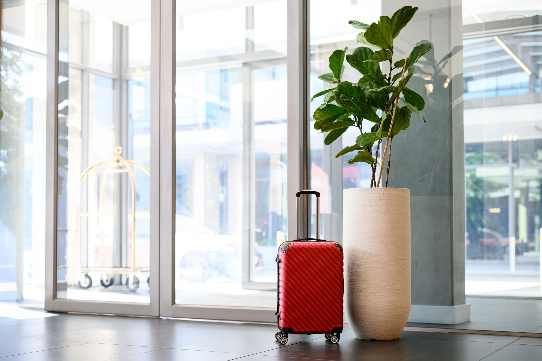 Luxury hotel entrance with suitcase